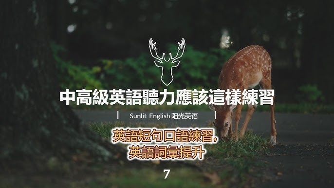 學習跟「information」(資訊)相關的英文!