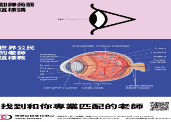 President和CEO有什麼不同？「社長」及其他職稱的英文用法解釋