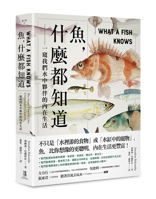 英語的「比喻表現」為何?介紹英語中以食物和動物的比喻方式!