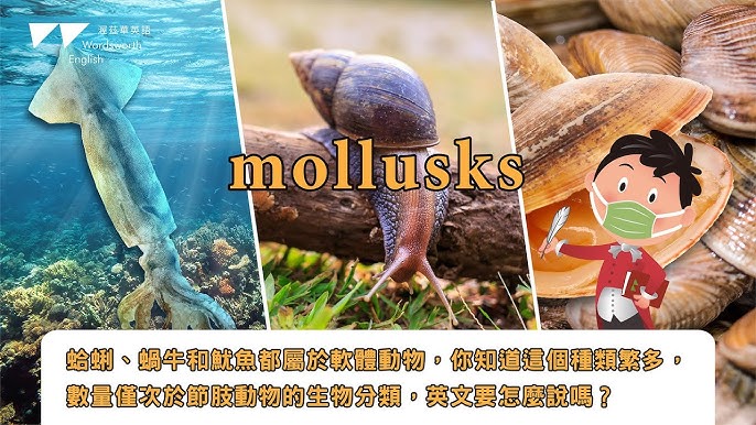 [你知道嗎？ 】「共同」的英文怎麼說？