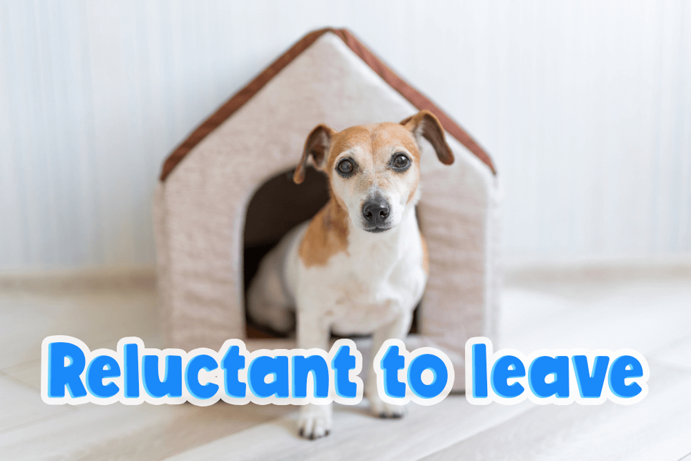 還不想結束…「捨不得」的英語表達為何?相關短語一併介紹