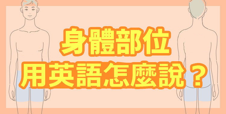 身體部位用英語怎麼說？不知道的單字竟意外的多！