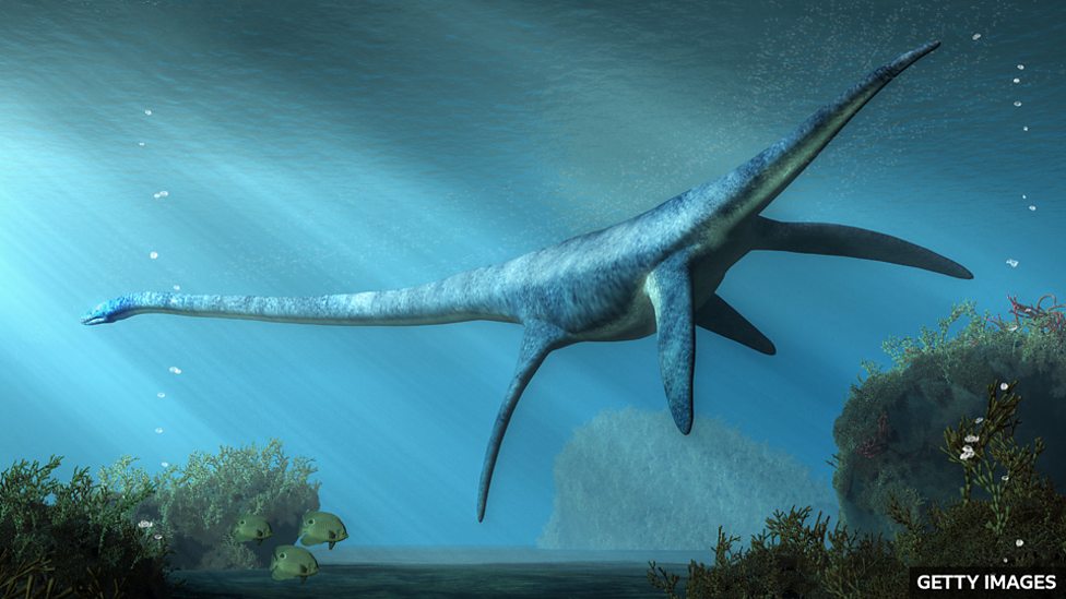The 'magical' bioluminescence that makes the sea glow blue at night “神奇的” 生物發光現象令海水在夜晚發出藍光