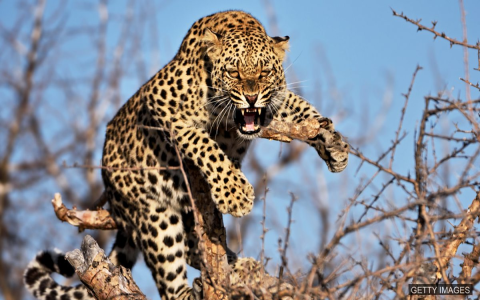 Phrasal verbs for morning routine 與 “晨間習慣” 相關的短語動詞