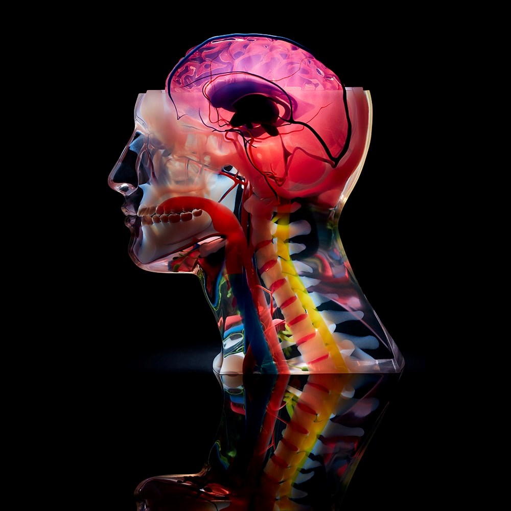 3D printing human anatomy 用 3D 打印技術制作出的人體解剖模型