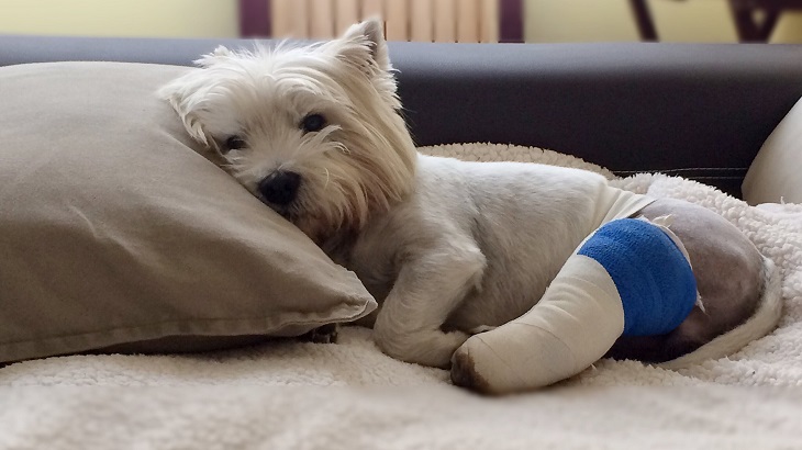 英文的「復活」怎麼說？康復、復活等的英文說法