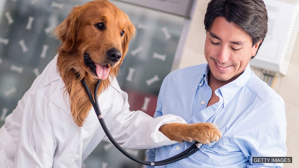 The dogs who safeguard our hearts 養狗能保護我們的心臟健康