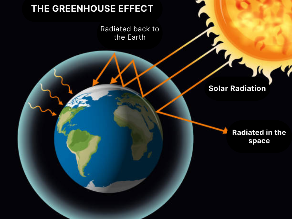 The greenhouse effect 溫室效應