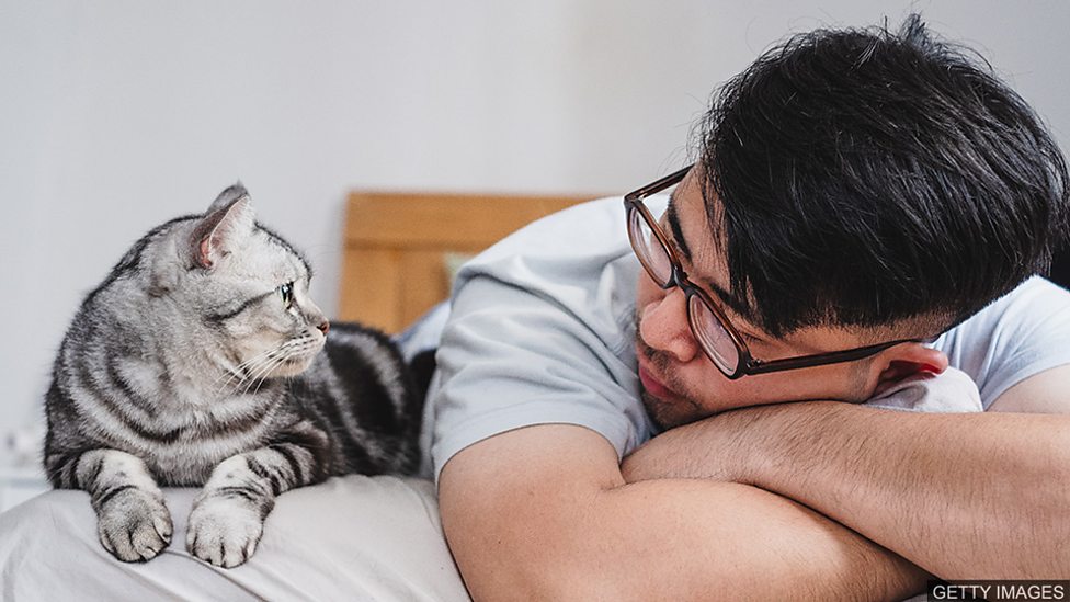 The ugly-cute phenomenon – what is our obsession with ugly pets? “又醜又可愛” 現象——我們為什麼癡迷於長得醜的寵物?
