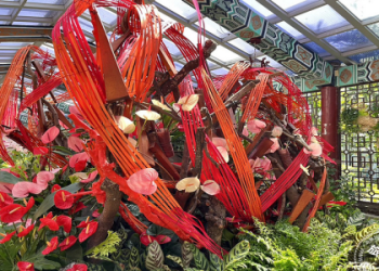 Indian Summer 秋老虎