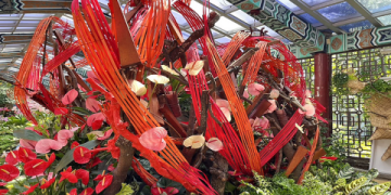 Indian Summer 秋老虎