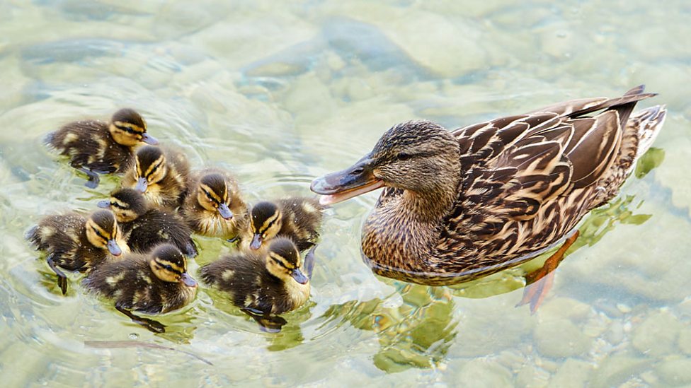 英文中表示「喜歡」的俚語是?來確認看看「喜歡」的程度吧!