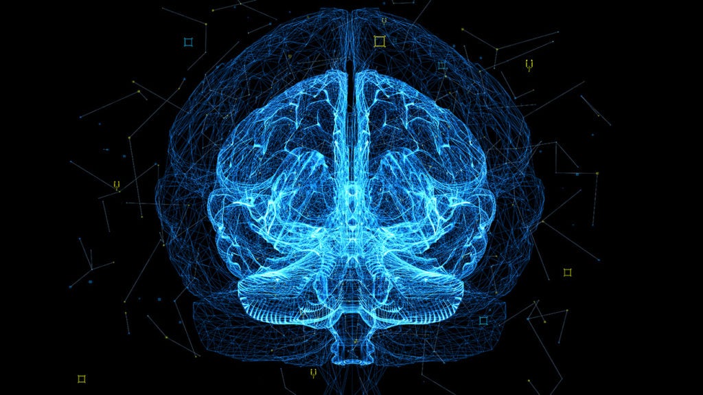 What happens to our brain when we sleep? 我們睡覺時大腦在做什麼?