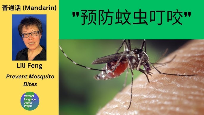 How to stop mosquito bites 如何防止蚊子叮咬
