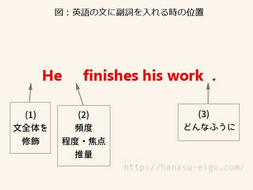 英語中修飾動詞的副詞位置