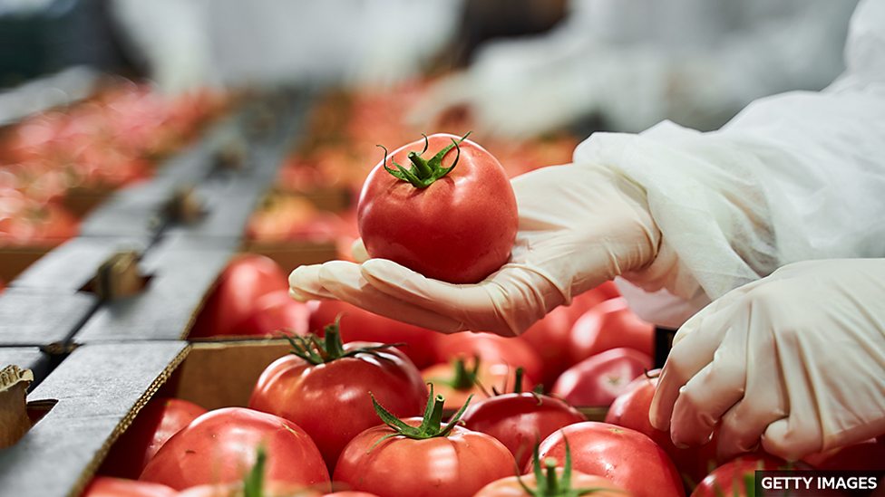 辨析表示 “足夠” 的單詞：adequate、enough、sufficient