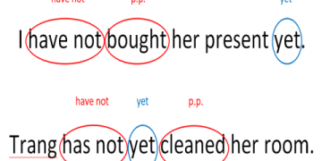 Still, already 和 yet 有什麼不同？