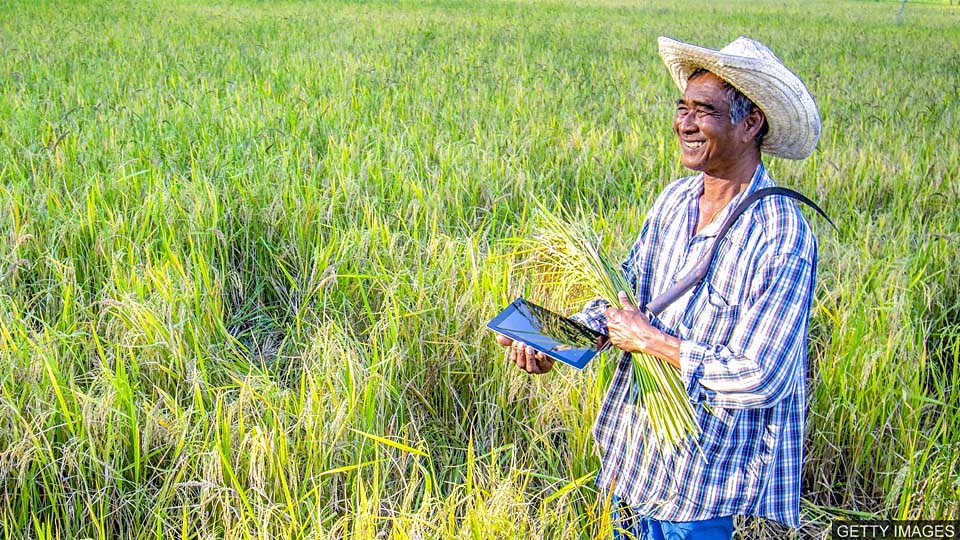 辨析表示 “預測” 的動詞：predict 和 forecast