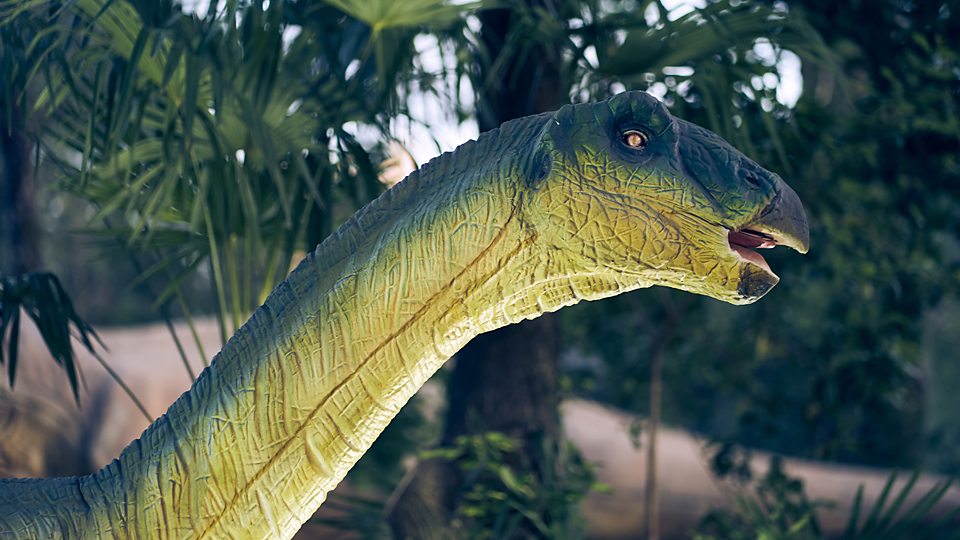 Unique dinosaur species found in Mongolia 科學傢在蒙古發現獨特的新恐龍物種
