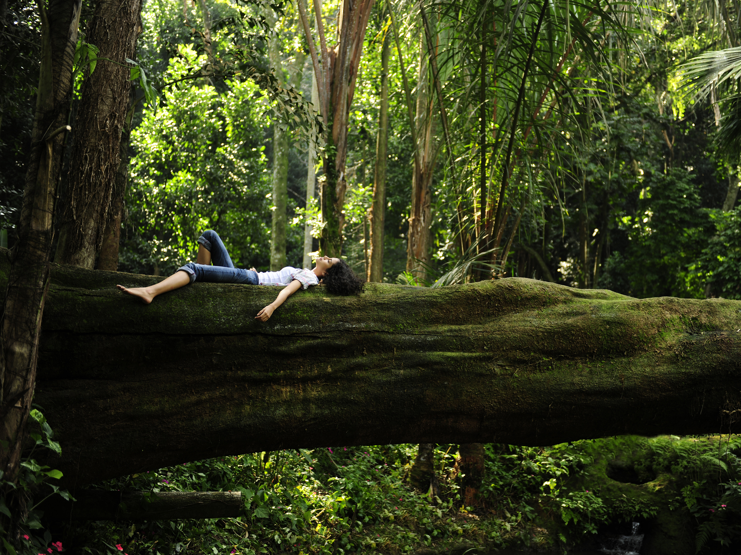 Forest bathing 森林浴