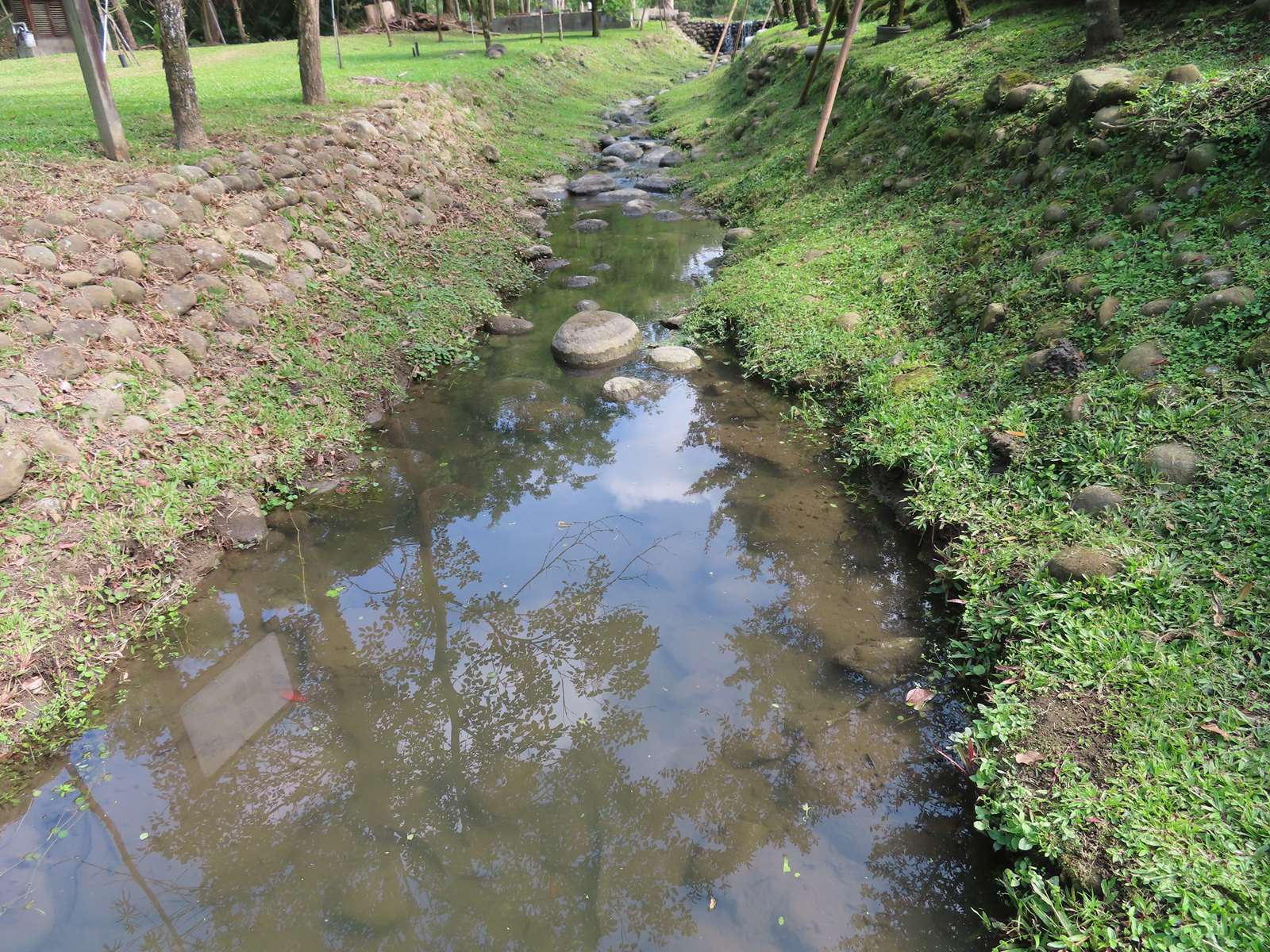 Ditch 和 abandon 之間的區別