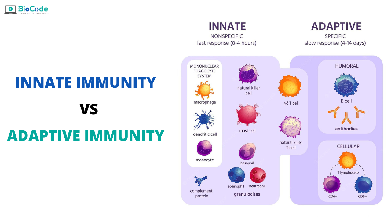 Inherent、intrinsic、innate 區別是什麼？
