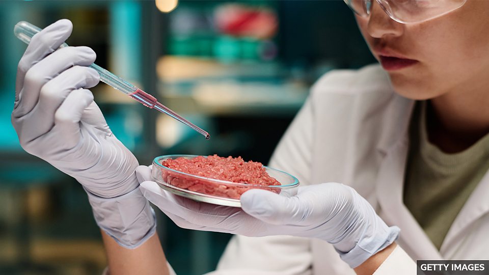 Why some vegetarian foods imitate meat 為什麼素食要追求“肉相”